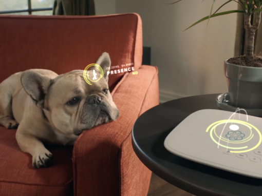 Home Security